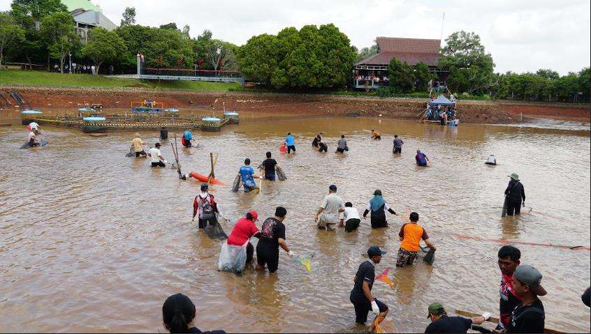 671.000 Mahasiswa dan Terus Melaju, UT Buktikan Semua Bisa Kuliah Negeri! 